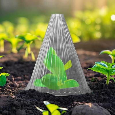 10 Pcs Plant Cloches Transparent Garden Cloches PET Plastic Reusable Nursery Cover Plant Windbreak Cover Protect from Birds Slugs Frost for