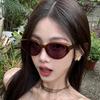 Outdoor Fashion Women's Cat Eye Sunglasses Retro Gradient Lenses Oversized Sun Glasses Brand Designer Women's Sun Glasses UV400