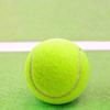 Non-Toxic Tennis Balls Elasticity Practice Ball New Pet Playing Balls  Competition