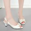 Summer Sandals Women's Bow New Mid Heel Shoes Shallow Fashion Shoes