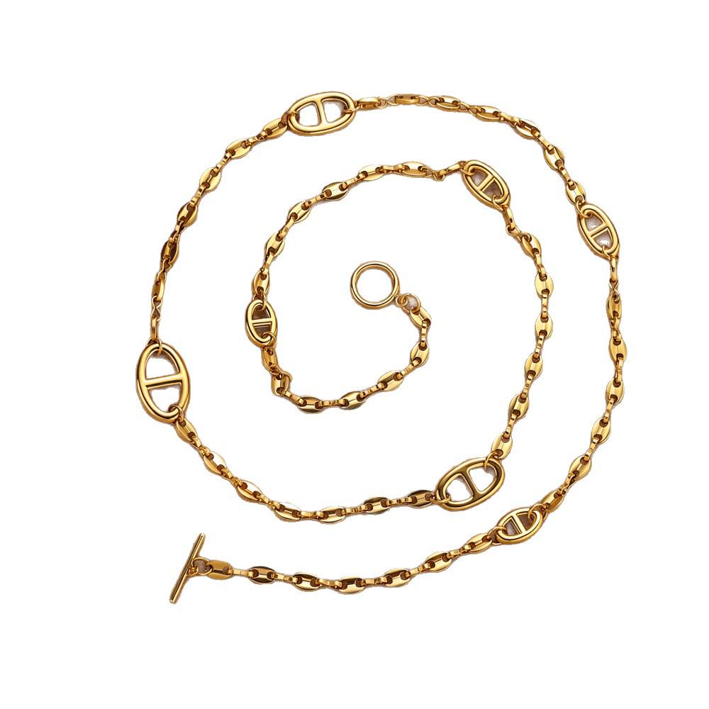 European/American Light Luxury Titanium Steel Necklace - Pig Nose Cold Niche Style, High-End Versatile Long Sweater Chain