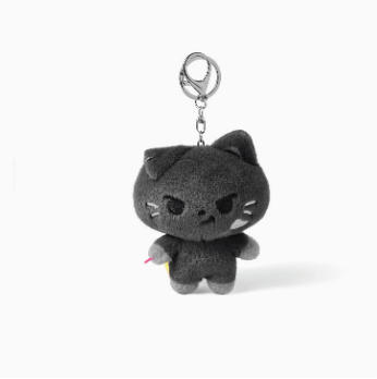 2027 New 10cm JUNGWON Plush Pendant Kawaii JAKE HEESEUNG Jay Cos Animal Mini Stuffed Doll Keychain Toy For Fans Gifts