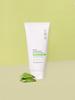 Botanical Aloe Fresh Soothing Large Foam Cleanser