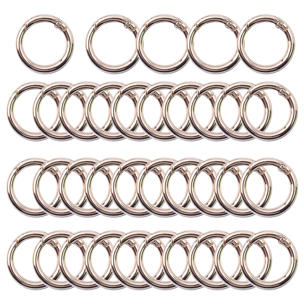FUPUTWO Carabiner Round Keychain Key Ring DIY Accessory Parts Set (Gold Ash)