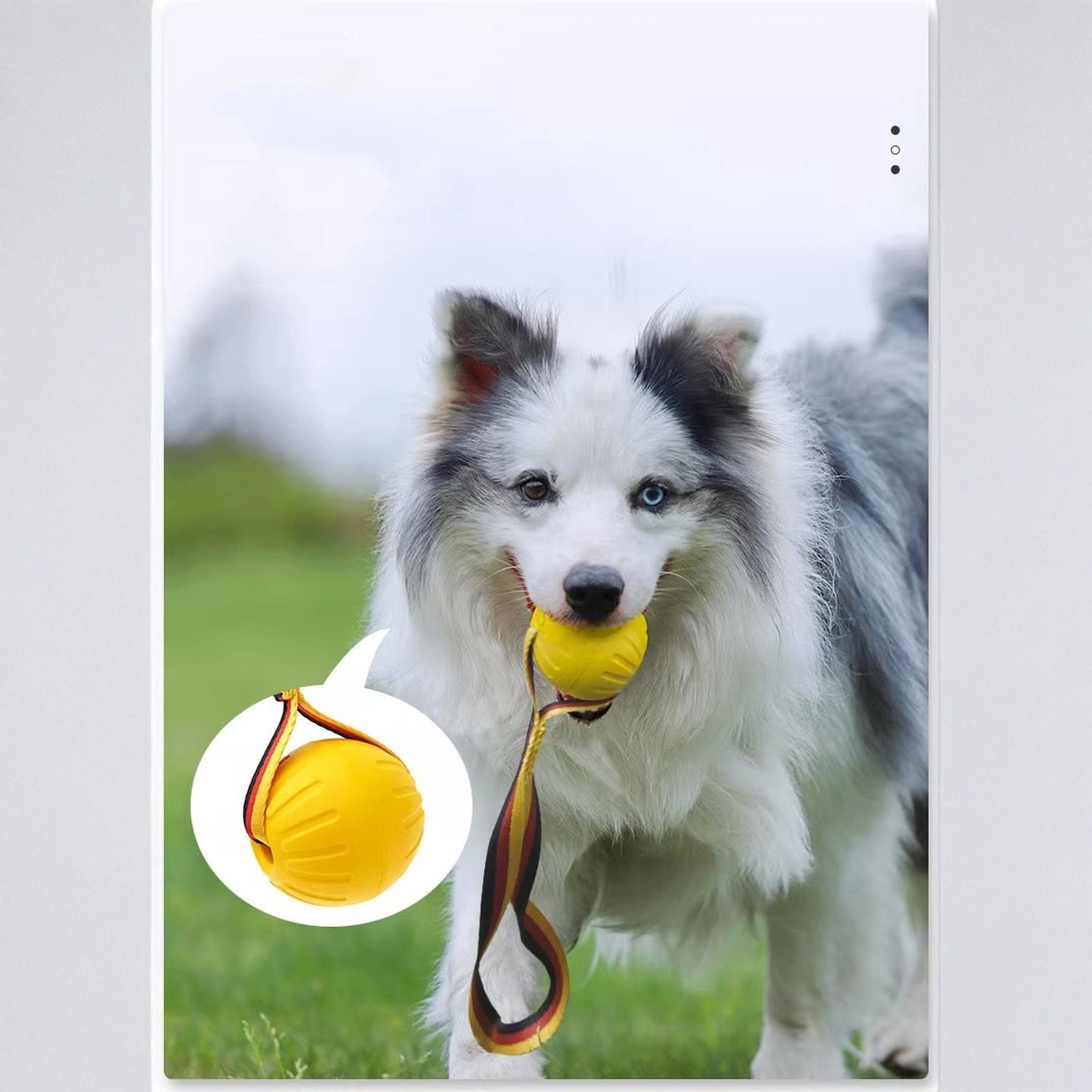 7cm EVA Dog Chew Ball With Flag Rope Pet Training Toy One Size