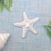 100pcs Simulation Starfish Resin Accessories Slime Filling Flatback  Cabochon for Children's Hair Accessory  Crystal Mud Crafts