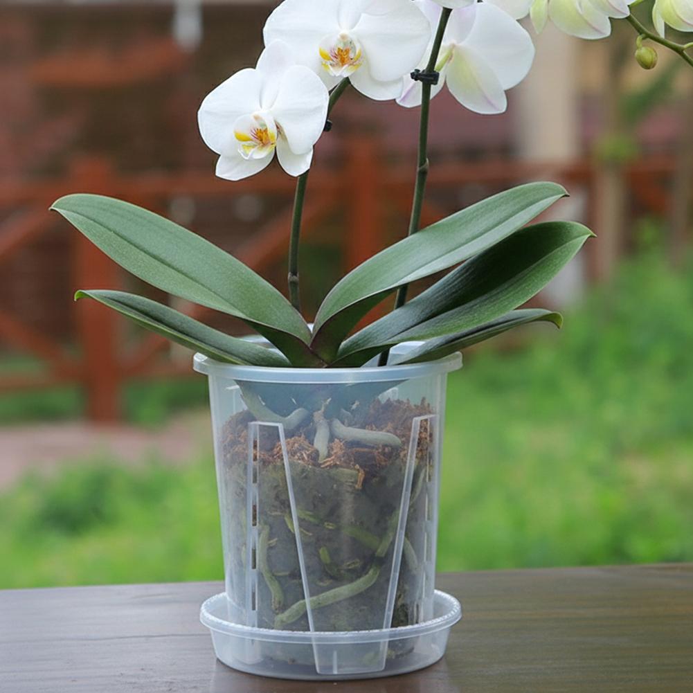 Transparent Nursery Potsplant with Tray Seed Starting Pot Flower Plant Contain Planters Root Control Orchid Transparent Pot