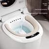 Electric Bidet Basin for Pregnant Women - No-Squat Special Wash, Soak, and Fumigation Toilet Accessory
