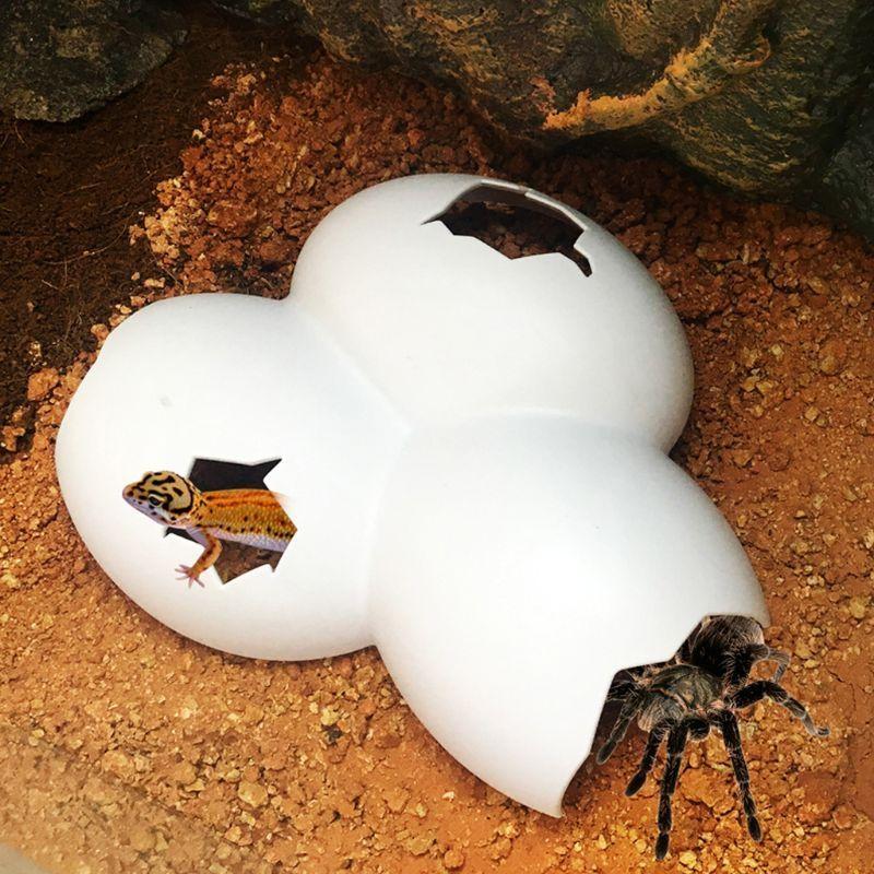 Reptiles Aquarium Hiding Cave Plastic Eggs for Shell Decoration for Spider Taran top sale China Mainland