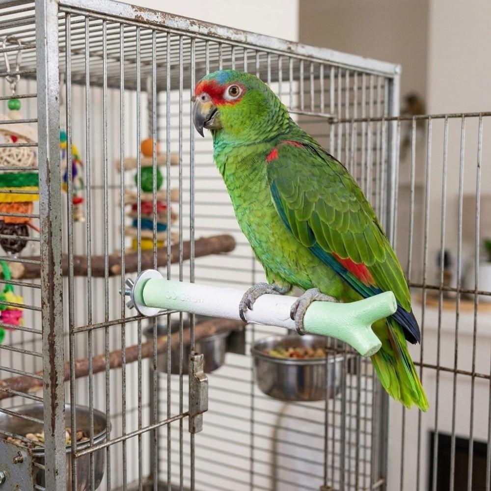 Screw Fixation Bird Station Pole Branch-Shaped Parrot Grinding Stick  Training Perch