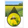 90x90 Compact Binoculars for Adults and Kids Large Eyepiece Waterproof Binoculars for Bird Watching Binoculars