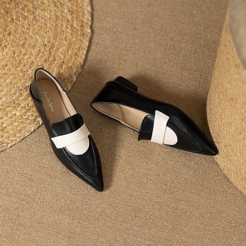 New 2024 Spring Women's Mary Jane Shoes Shallow Pointed Toe Women's Elegant Low Heel Women's Casual Shoes