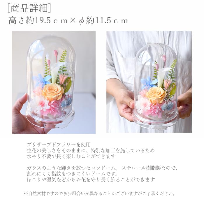 Preserved Flower Dome, Flower Dome, Buddhist Flowers, Offering Flowers, Violets, 1 Piece, Pink