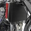 For Kawasaki Z900RS Z900 Z-900RS 2021-2024 Motorcycle Engine Cooling Protection Cover Slip On Kawasaki Z900-RS Z900
