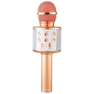 Audio & Video Accessories – Microphones