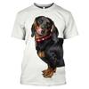 New Funny Animal The Dachshund graphic t shirts Men Summer Fashion Casual quick-drying t-shirt 3D Printed streetwear Tees Tops