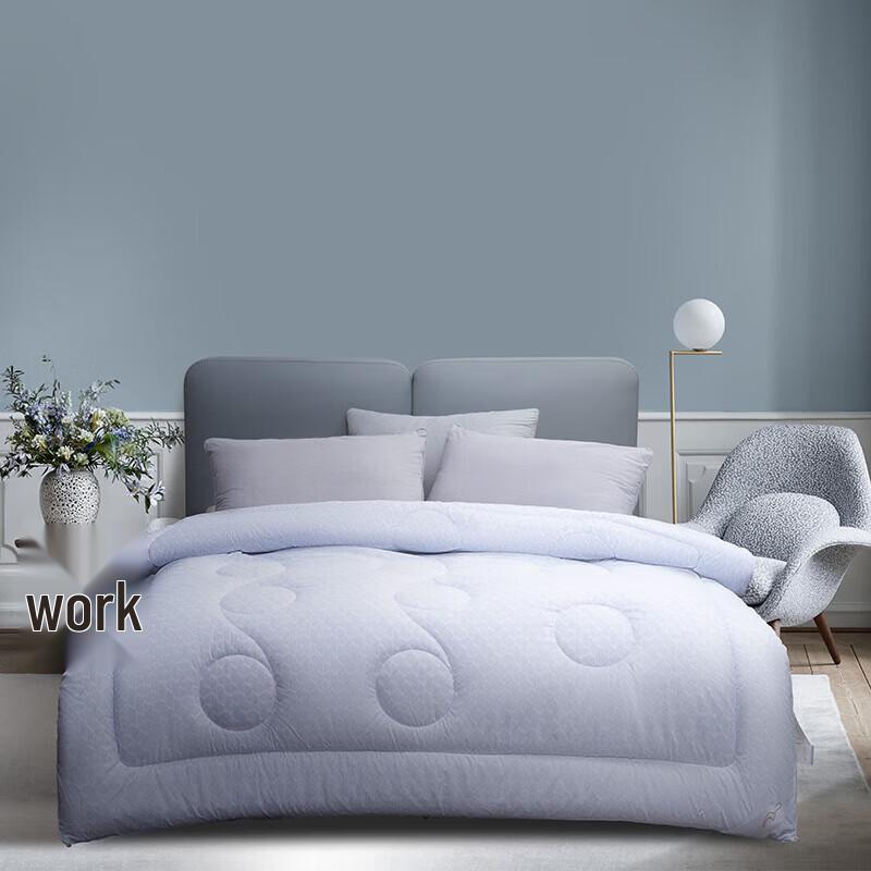 Mercury Home Textiles DH Negative Ion All-Season Quilt