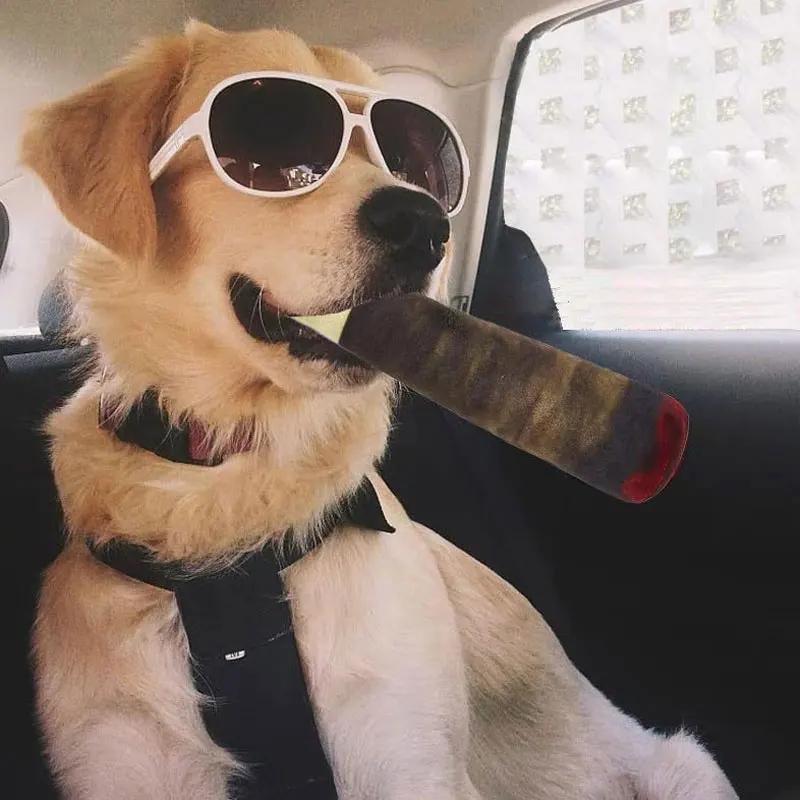 Zábavné interaktivní hračky pro psy Design doutníku Plyšové pískací hračky pro mazlíčky Broušení zubů Kreativní žvýkací Cool plyšové dárky k narozeninám psa