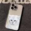 Serious face kitten applies to iPhone17promax Apple 16 transparent cat mobile phone case 14/13 fine hole 15