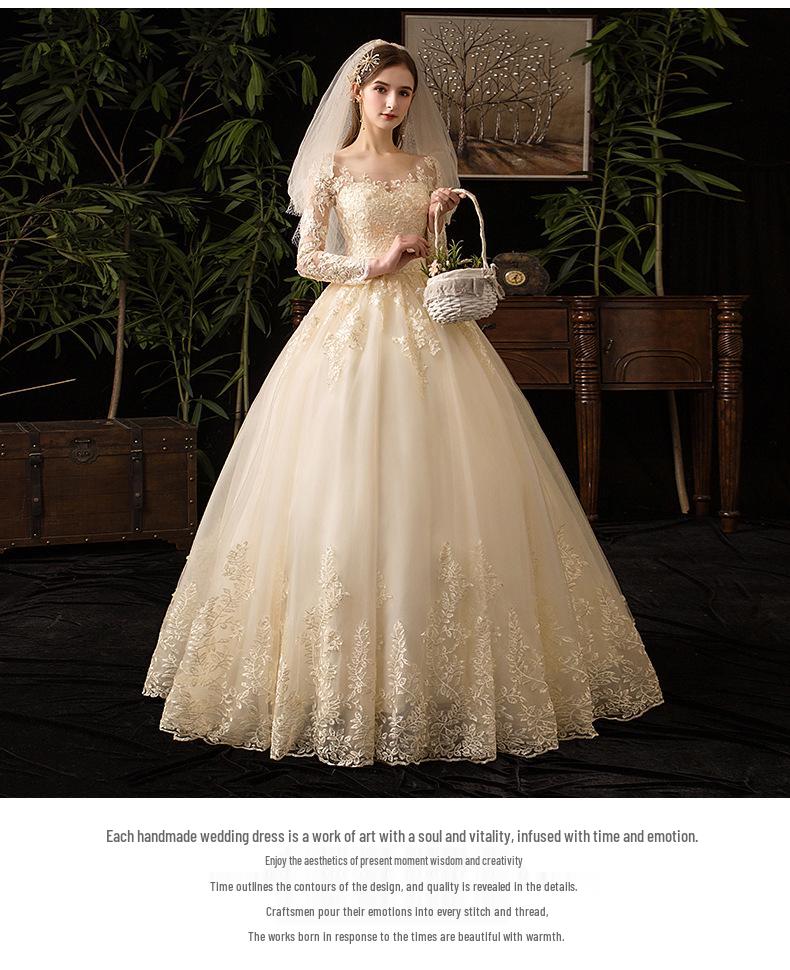 2024 Luxury Lace Long Sleeve Wedding Dress for Brides, Plus Size, D50
