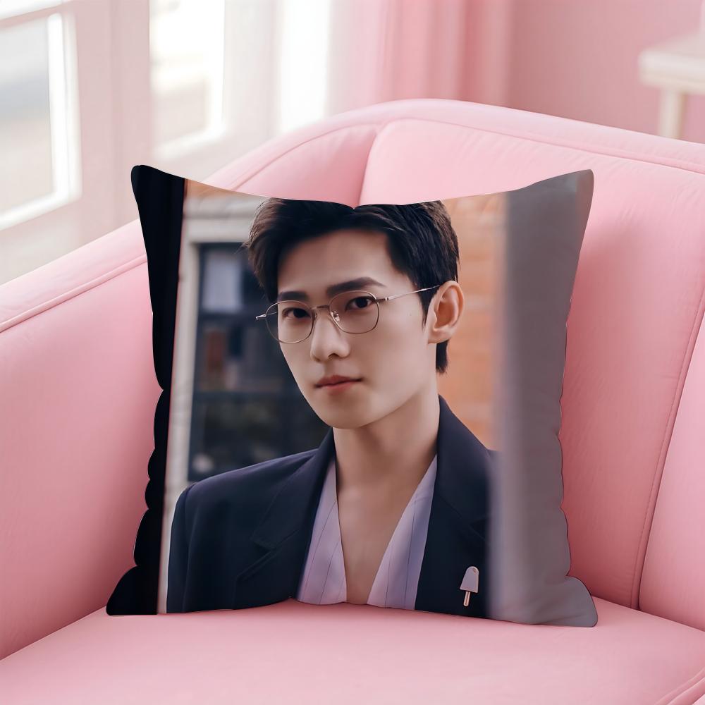 actor handsome YYang Yang Cushion Cover Pillow Case Soft Skin Friendly Fabric  Concealed Zipper