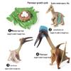 Montessori Cognitive Models: Sea Turtle, Hen, Frog, Snail, Butterfly, Bee Growth Cycle Toys