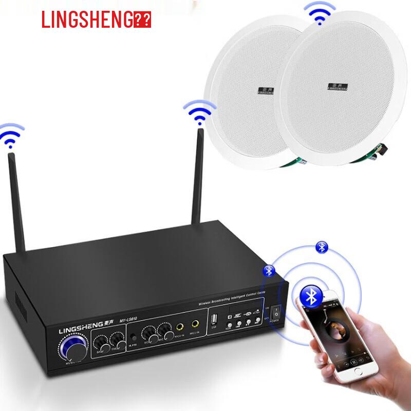 Lingsheng Wireless Bluetooth Amplifier and Ceiling Speaker System CN Plug (adapter Included)