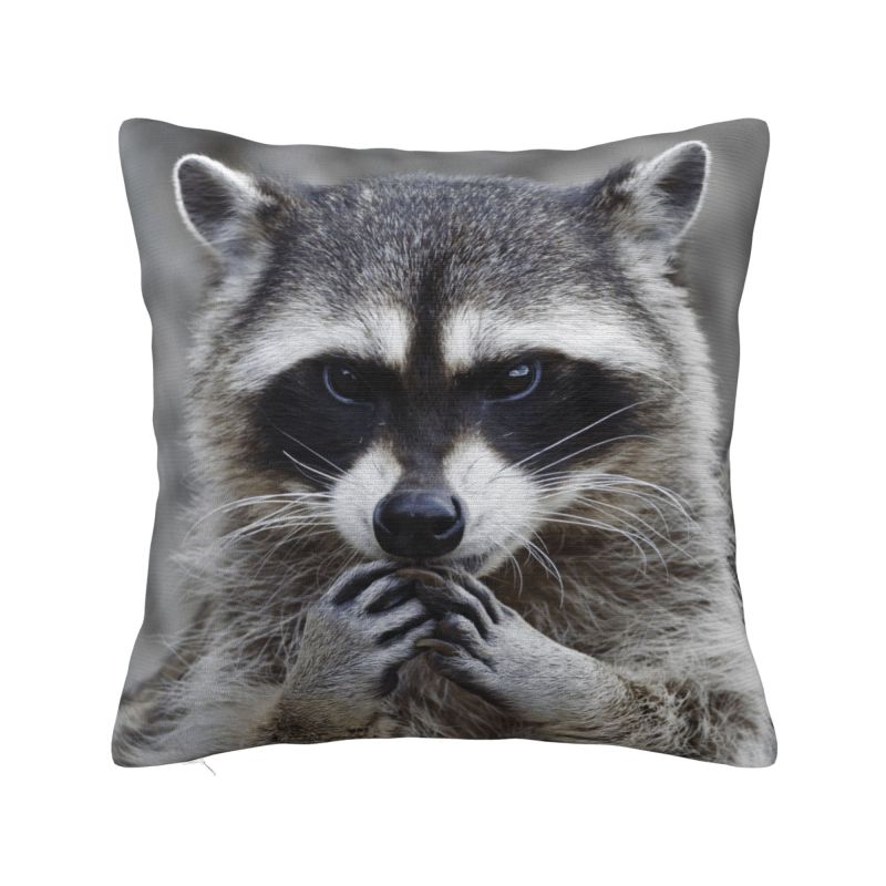 Cute Love Raccoon Throw Pillow Case Bedroom Decoration Fashion Racoon Panda Cushions Cover For Sofa Square Polyester Pillowcase
