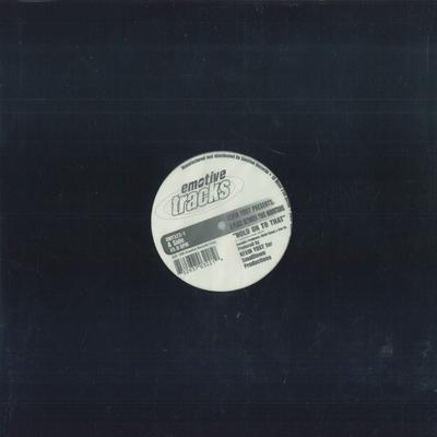 12inch Record KEVIN YOST - A Place Between Two Mountains EMT3221 Emotive Tracks 1996 US Dance & Electronica