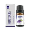Lavender, Tea Tree, Rose, Sweet Orange & Rosemary Essential Oil for Face Massage & Aromatherapy