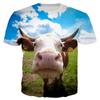 Zabawny T-shirt ze wzorem krowy dla mężczyzn Uroczy zwierzęcy T-shirt z nadrukiem 3D Letnie oddychające luźne topy unisex z okrągłym dekoltem Koszulki z krótkim rękawem