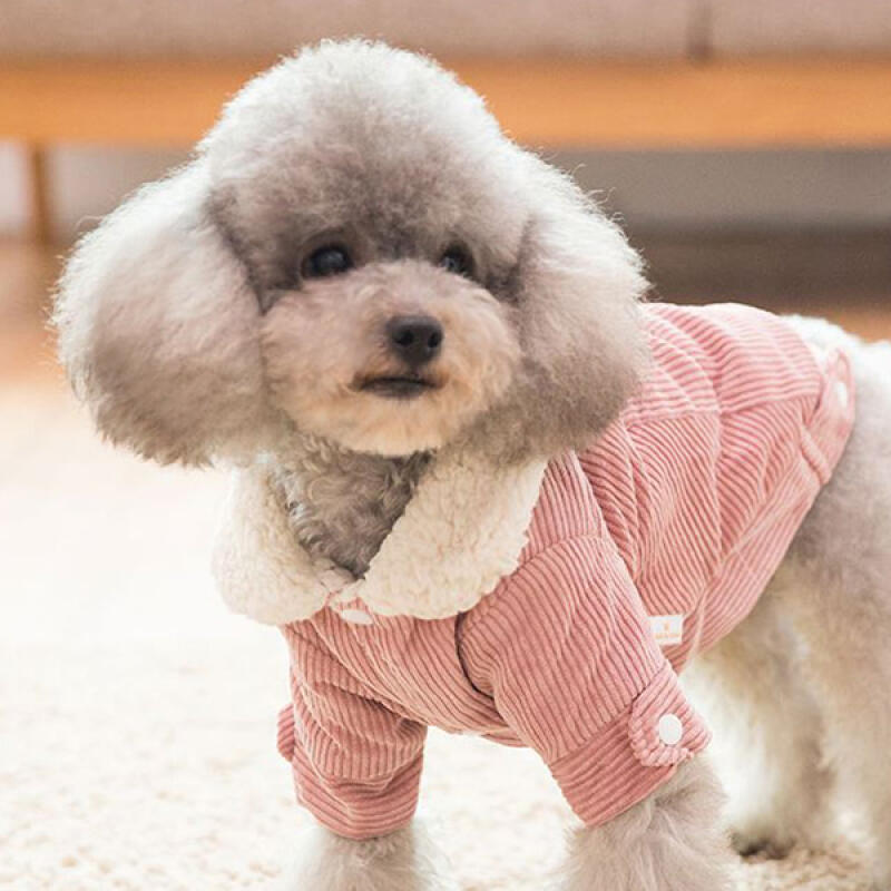 Puppy Fleece Corduroy Pink Corduroy Jacket S