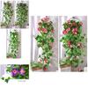 Morning Glory Artificial Silk Flowers Vine For Perfect Wall And Garden Decor**