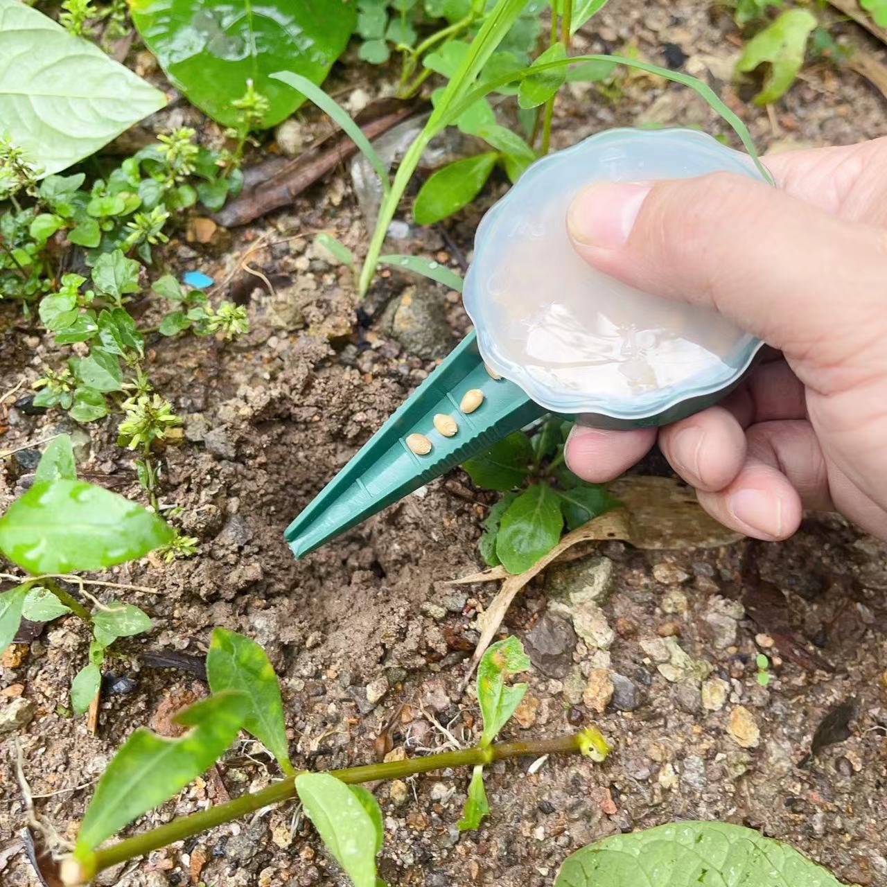 

Horticultural Tool: Seedling Tray Seeder One Size