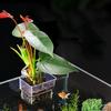 Transparent Hangable Aquarium Plant Holder Pot For Fish Tank Hydroponic System Indoor Workplace Decor Cultivation Decorations