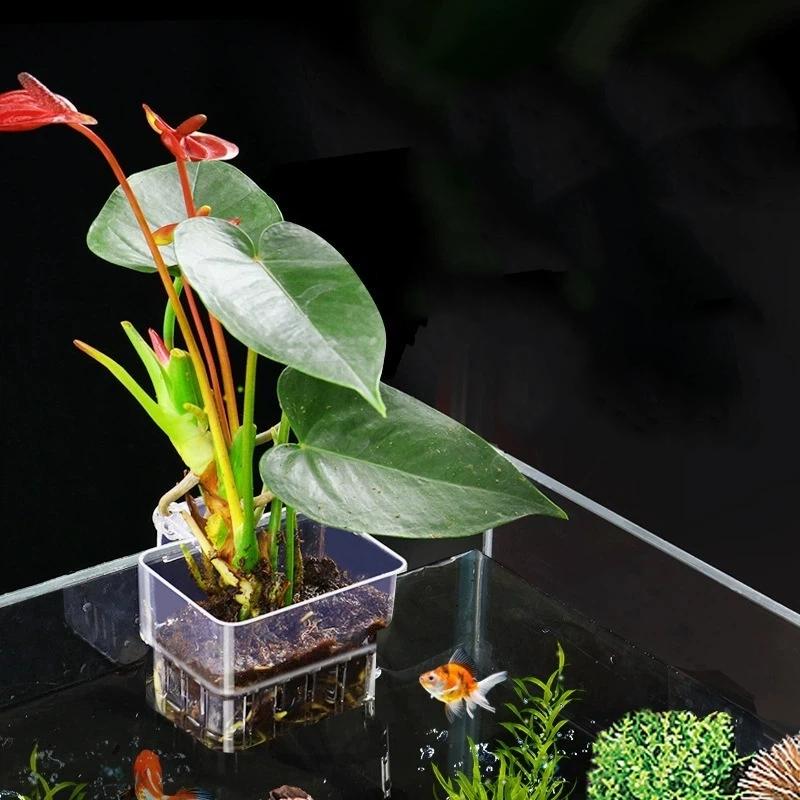 Transparent Hangable Aquarium Plant Holder Pot For Fish Tank Hydroponic System Indoor Workplace Decor Cultivation Decorations