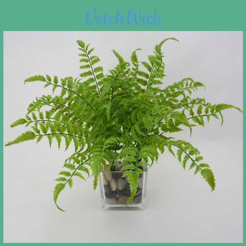 Faux Plastic Pteridium Aquilinum Var Latiusculum Plant Accessories For Gardening Photography And Interior Decoration