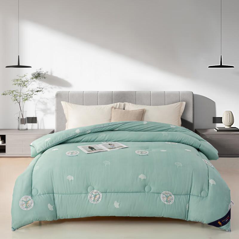 

PAUI DAVID All-Season Antibacterial Polyester Quilt