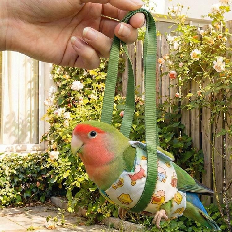 Parrots Carriers Safety And Ventilation For Easy Transportation Comfortable Wear