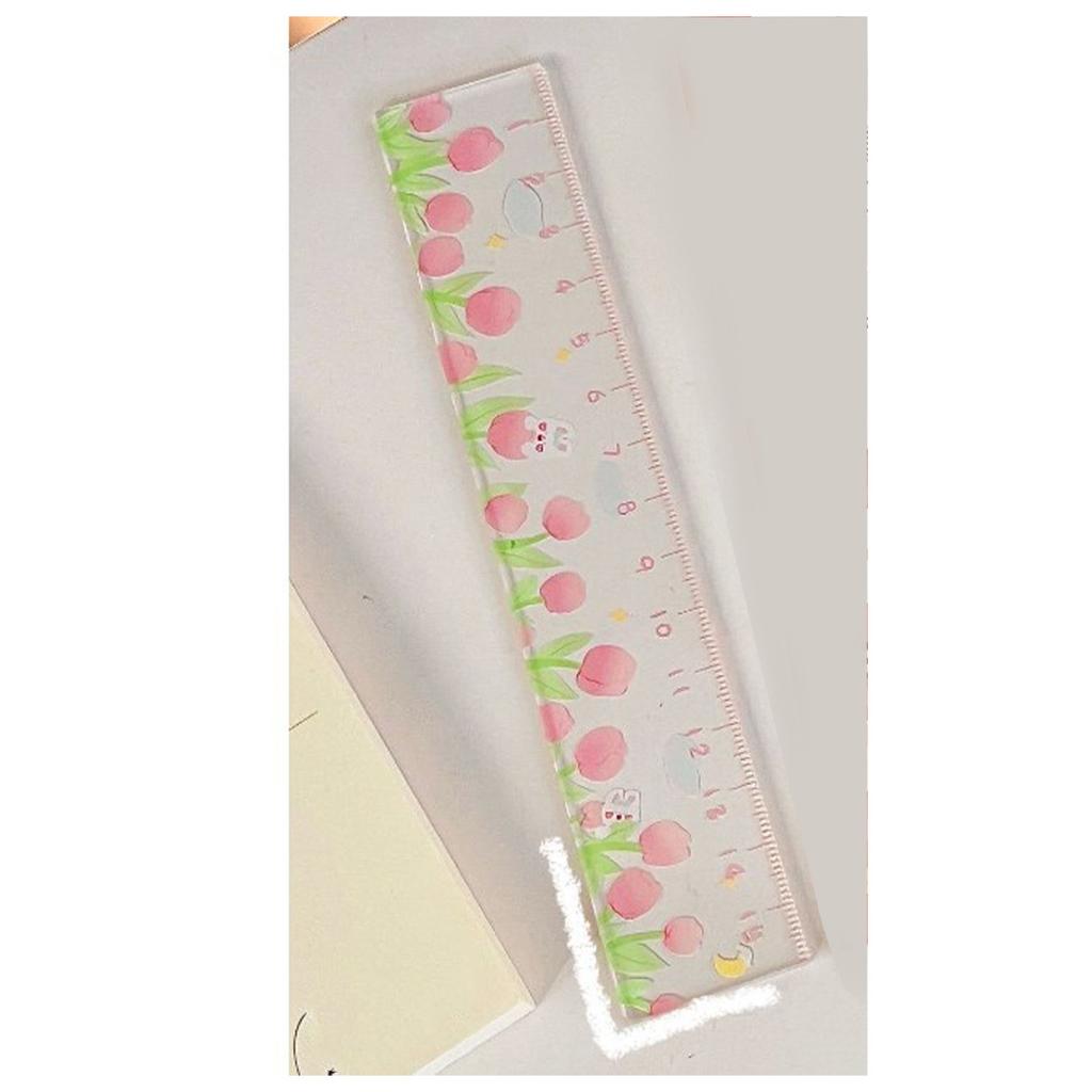Measurement Ruler Multipurpose High Accuracy Cute Cartoon Plastic Scale Ruler for Students School