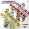 12-Grid Box of Mixed Small Round Rhinestones - Shiny Crystal, Pointed & Flat Bottom for Nail Decorations