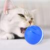 Haustiere Verfolgungszähneknirschen Blinkender Ball Innenhof Tier Apportierbälle Wiederaufladbares USB-Ladespielzeug