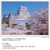 Yanoman in Jigsaw Himeji Castle with the Fragrance of Cherry Blossoms Includes and Piece Request Postcard (Yanoman) [Made Japan] 500-Piece Puzzle