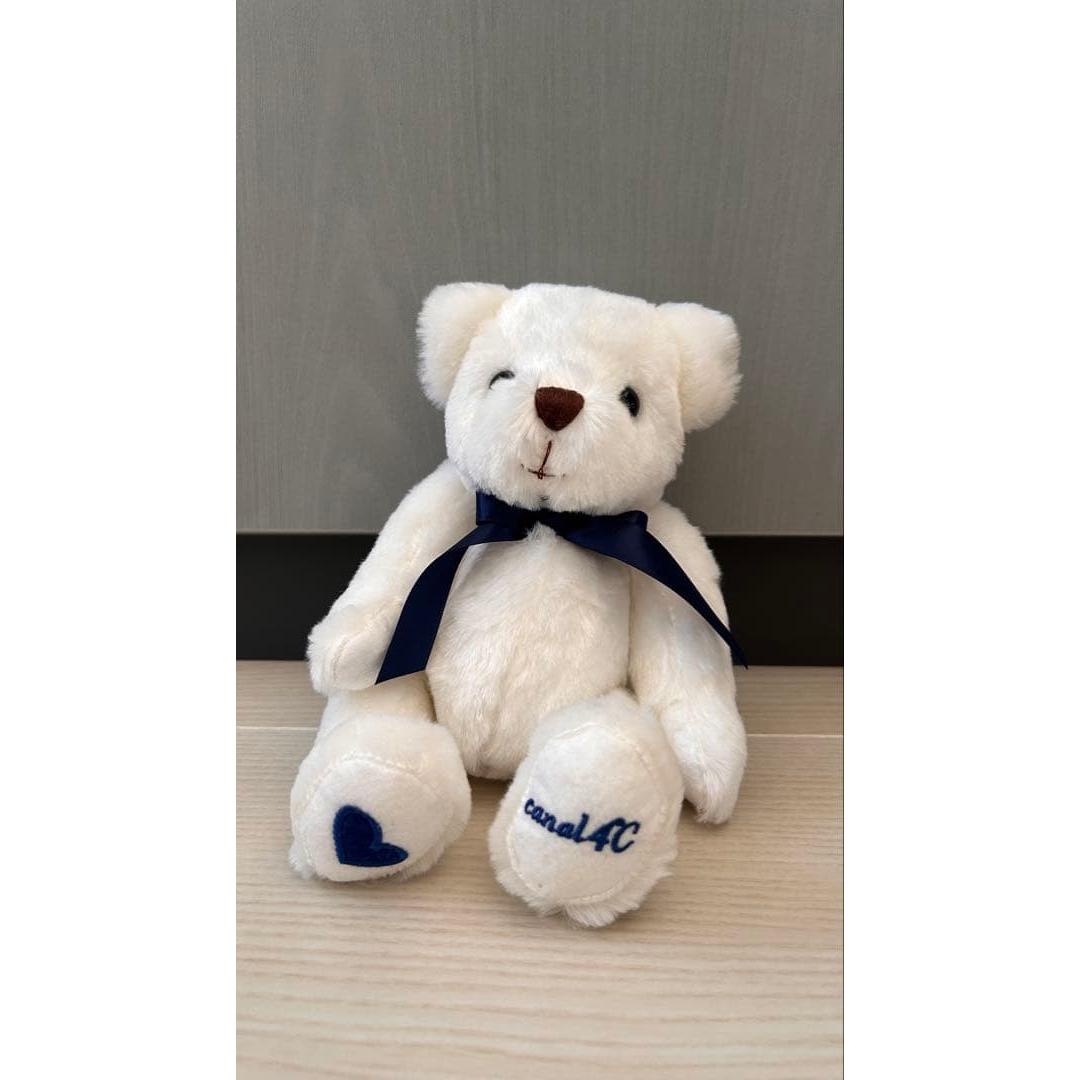 White bear stuffed toy canal4C