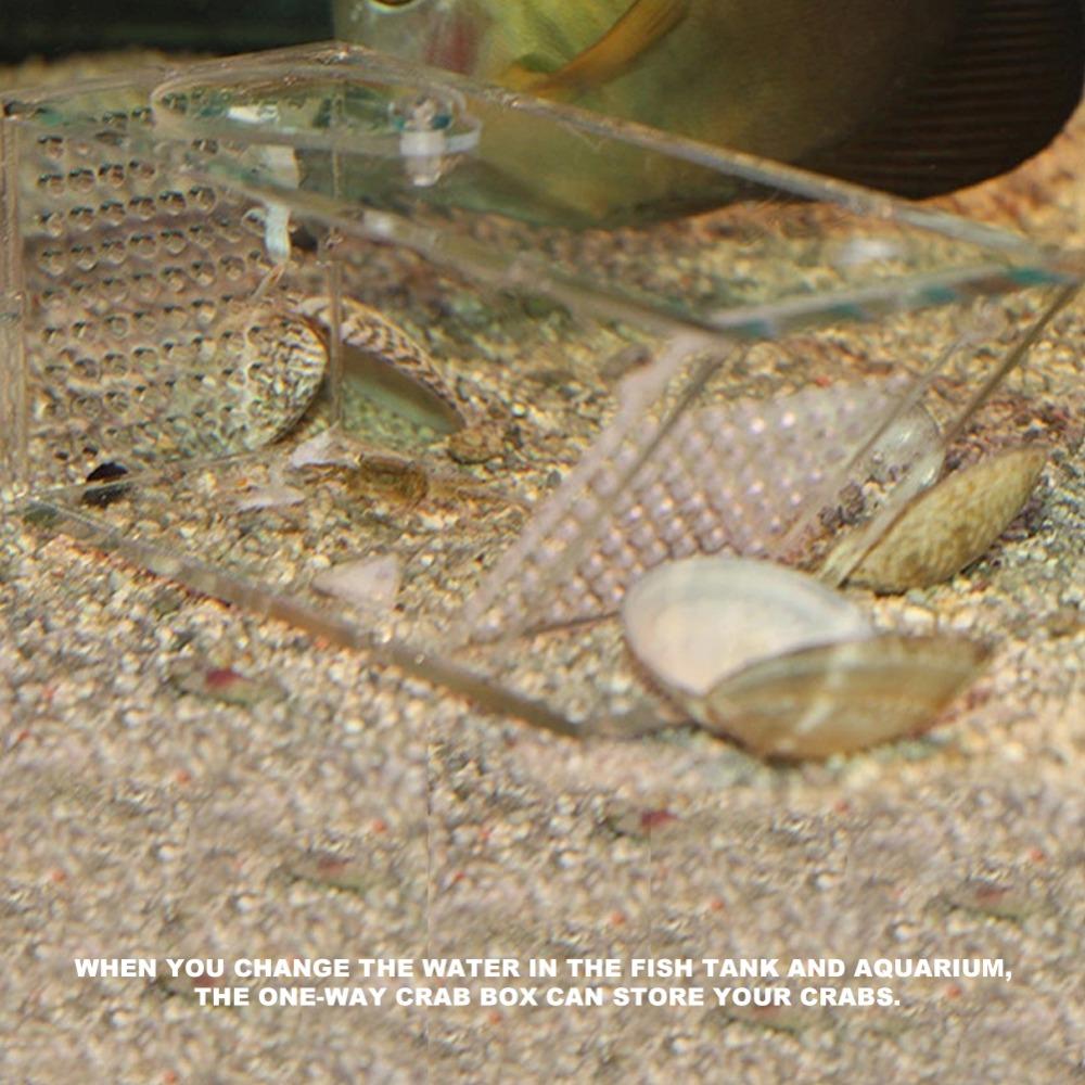 Transparent Fish Tank Trap Acrylic One Way Trap Durable Shrimp Catcher Reptile Terrarium
