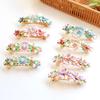 Customized Retro Paint Flower Spring Clip Mori Alloy Horizontal Clip Women'S Hair Tie Ponytail Disc Hair Flower Spring Clip