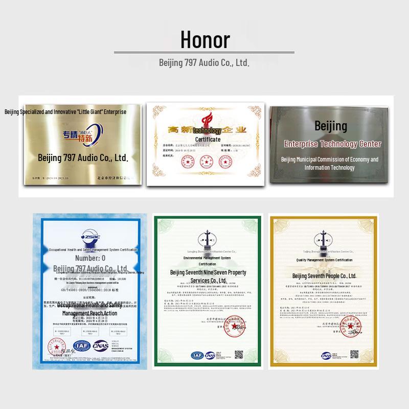 797audio TD-12M Professional Monitor and Stage Speaker