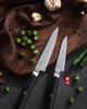 4 Inch Paring Knife With Wood Cover 3-layers Clad Steel AUS-10 Blade G10 Handle Cleaver Steak Utility Barbecue Kitchen Knives