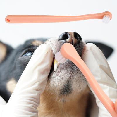 Pet Toothbrush Long Handle Oral Care Bite Resistant Cat Dog Bad Breath Teeth Cleaning Brush Pet Accessories