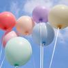 Soft Balloons 50 X 12 Inch Mixed Latex Balloons For Graduation Birthday Party Decoration